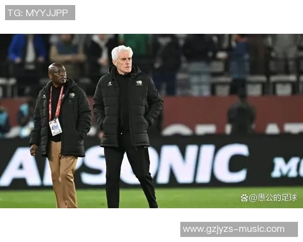 南非主帅布罗斯讲话涉嫌种族主义，南非足协表示支持教练